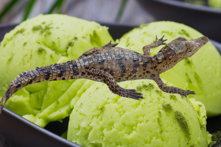 Crocodile Ice Cream